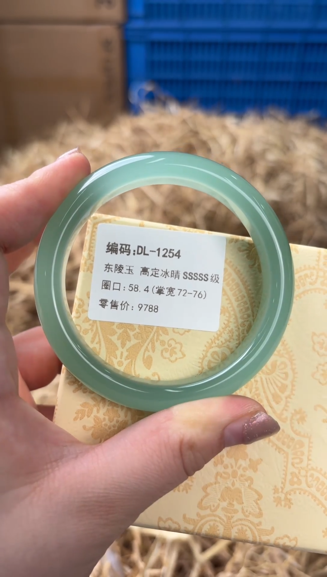 未镶嵌手镯石英质玉DL-1254