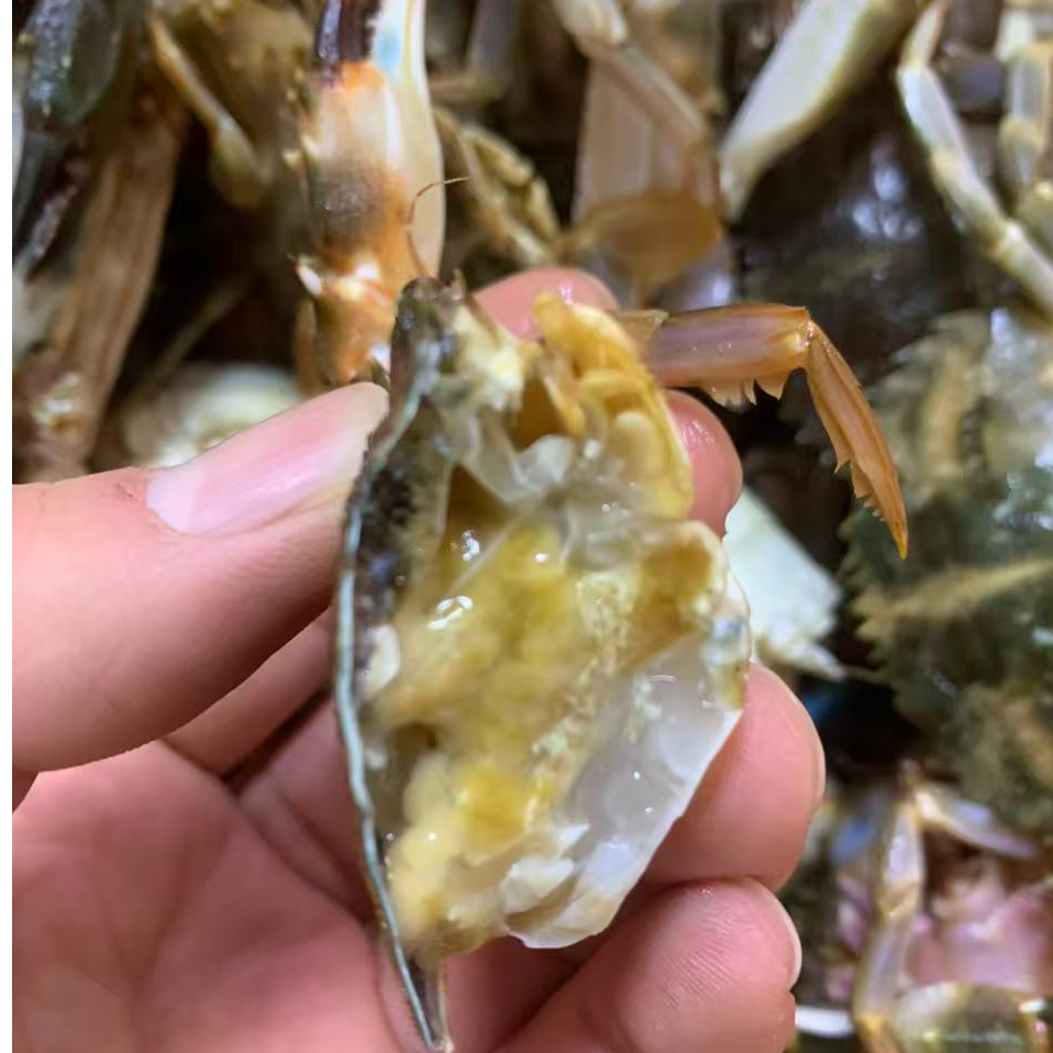 沈阳小时达福利断养   花盖