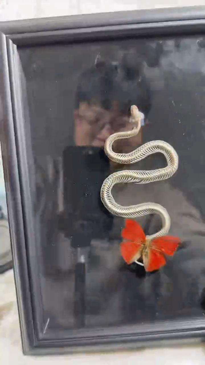 有机玻璃十寸蛇骨血漪   