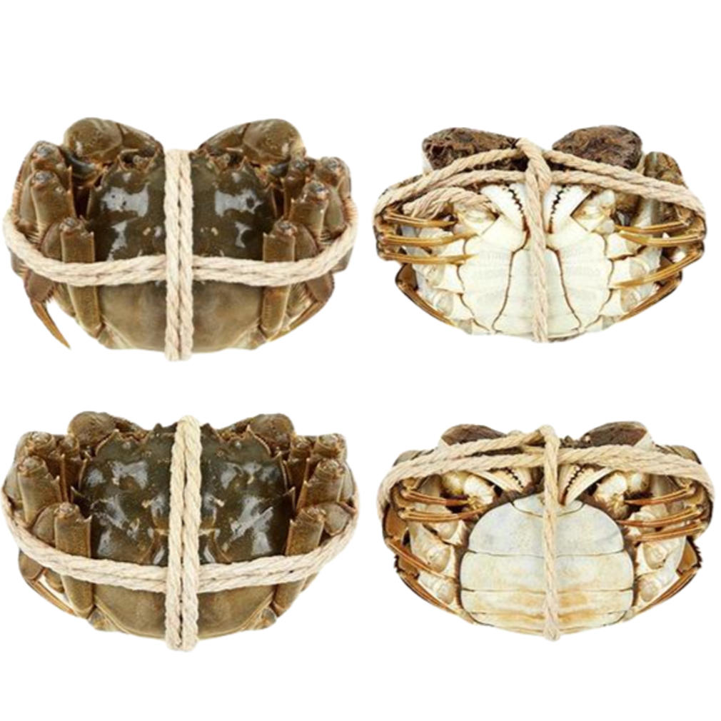 【活蟹】江苏太湖大闸蟹4两公6只左右，去绳净重