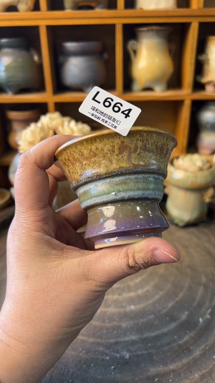 664 内口7【多肉花盆多肉盆】