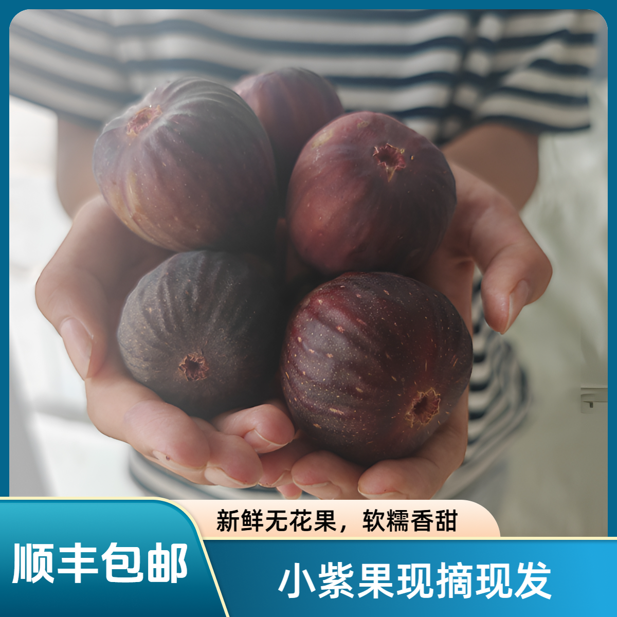 【顺丰包邮】小紫果无花果口感软糯香甜现摘现发自然成熟新鲜现摘