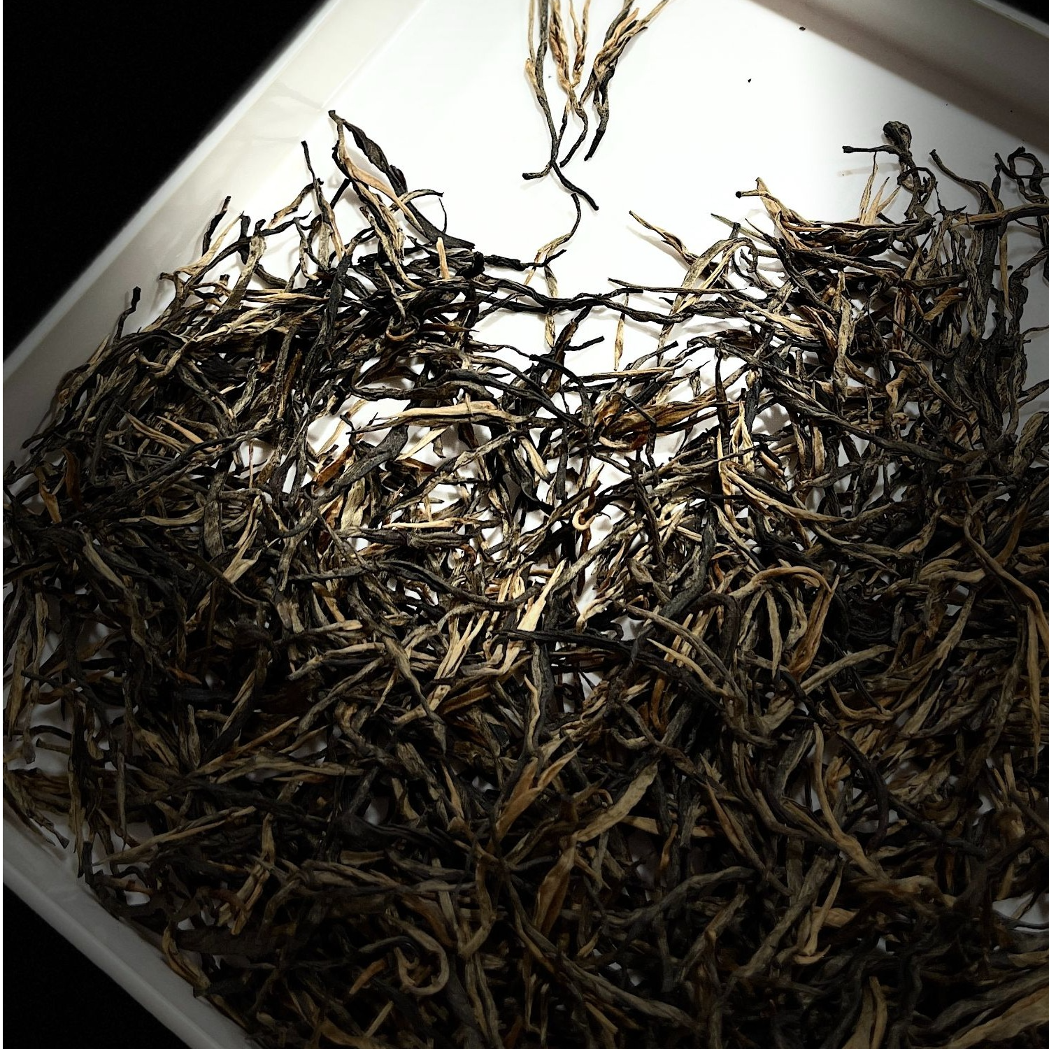 【森造】帕莎   生茶