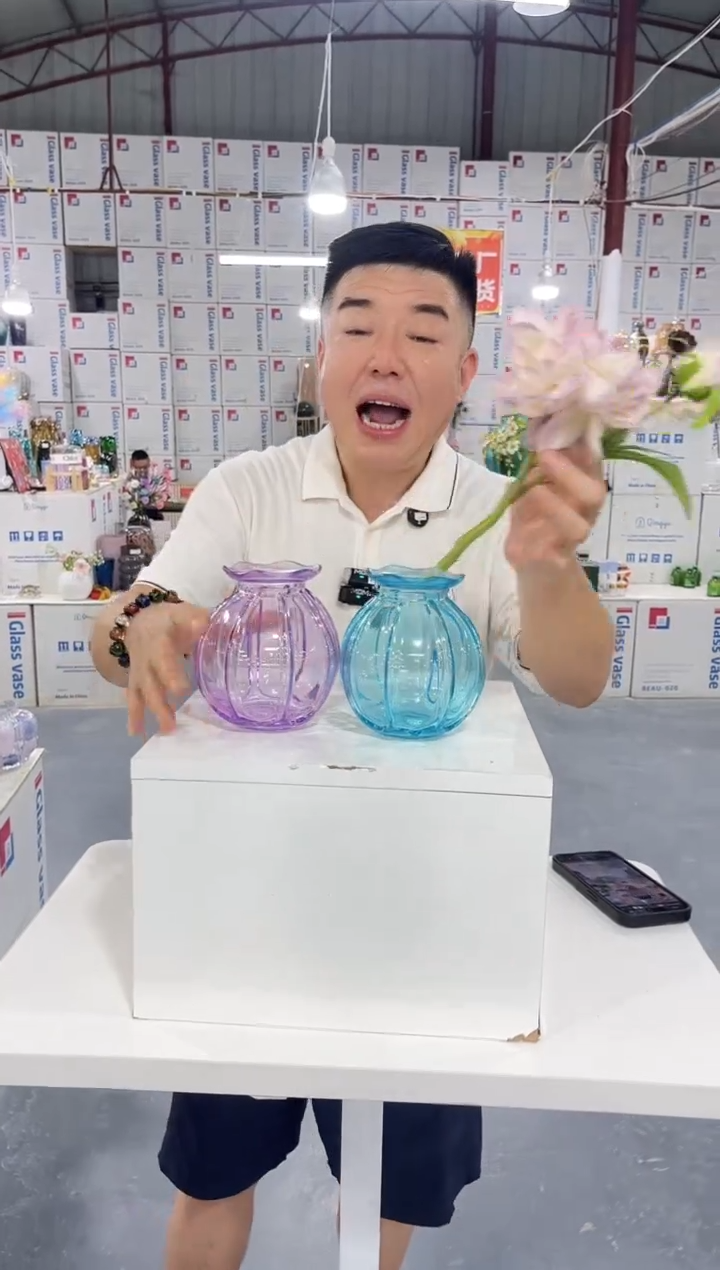 外贸花瓶家居日用029