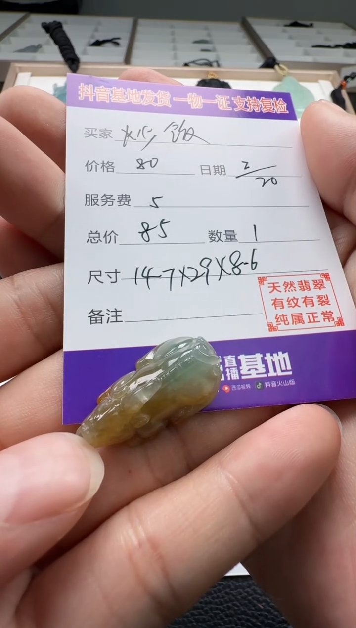 【闪购商品】翡翠颈饰未镶嵌11111111