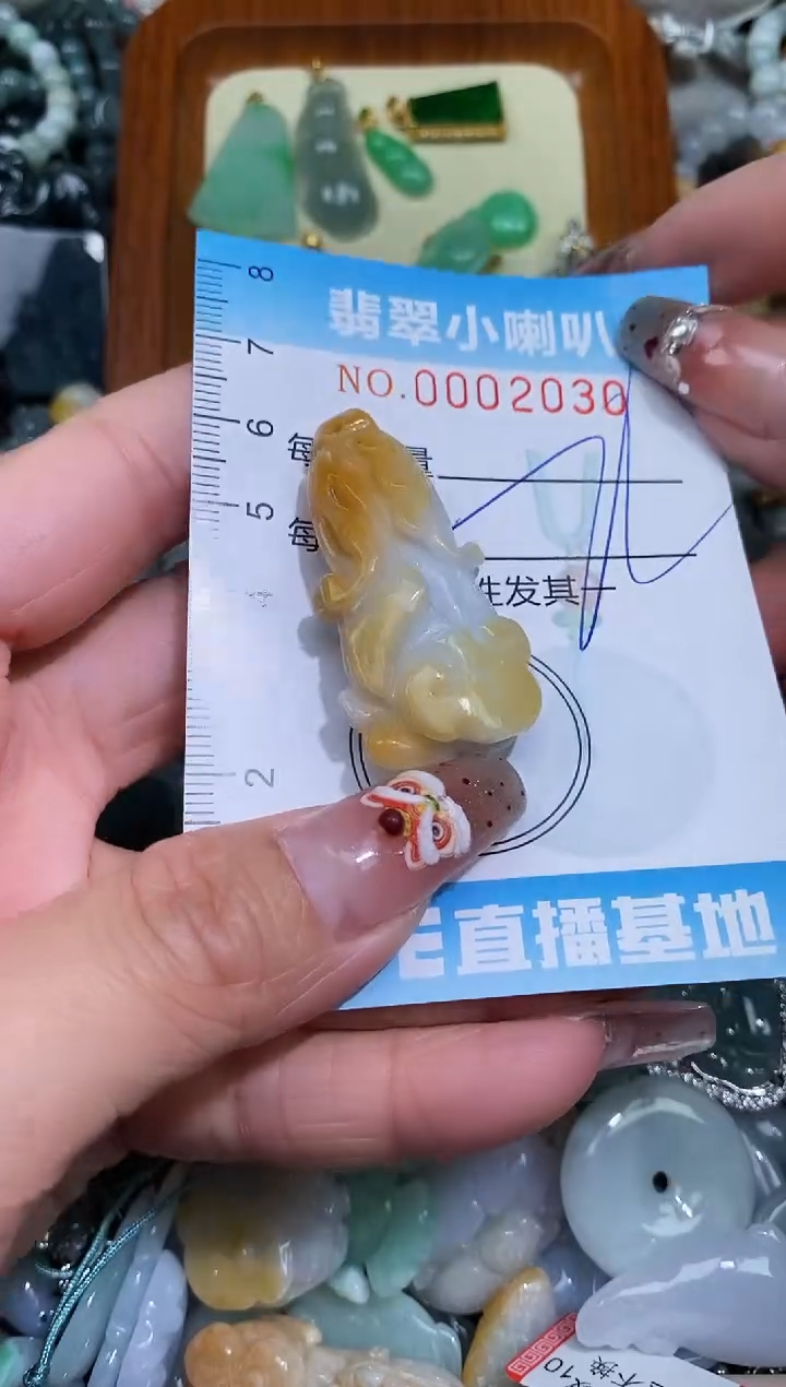 【闪购商品】翡翠颈饰未镶嵌闪购0002030