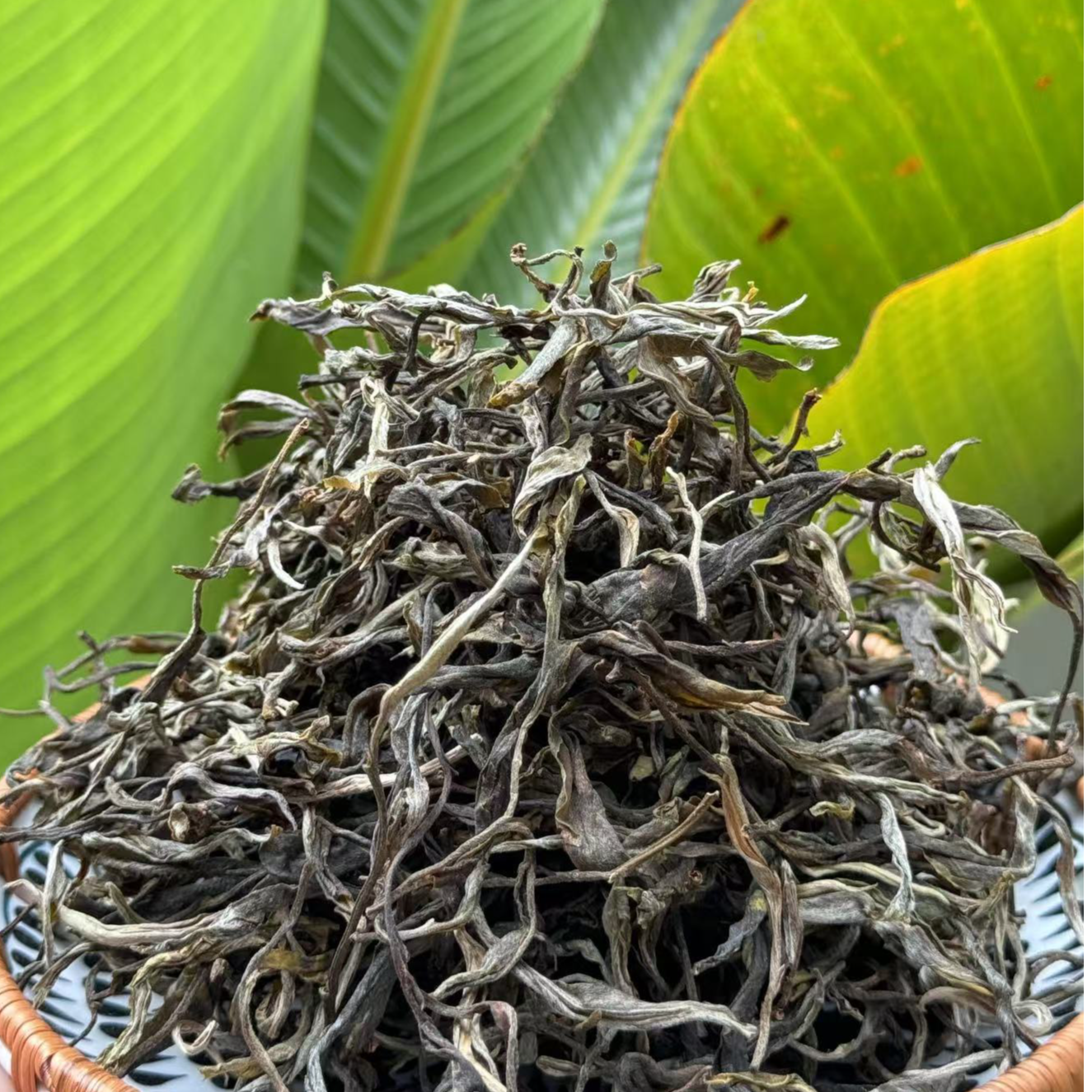 2018年昔归古树散茶普洱生茶