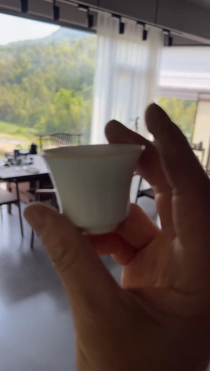 桐木半斤主人杯········