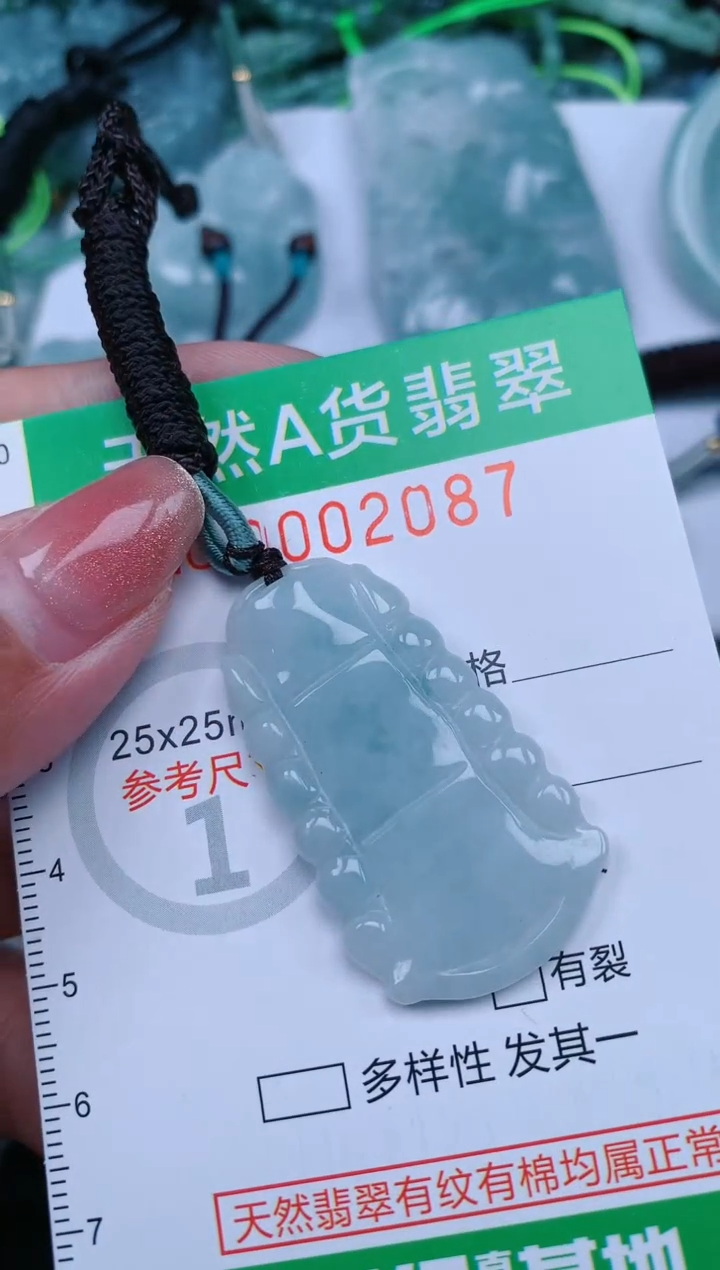 【闪购商品】翡翠颈饰未镶嵌.0002087