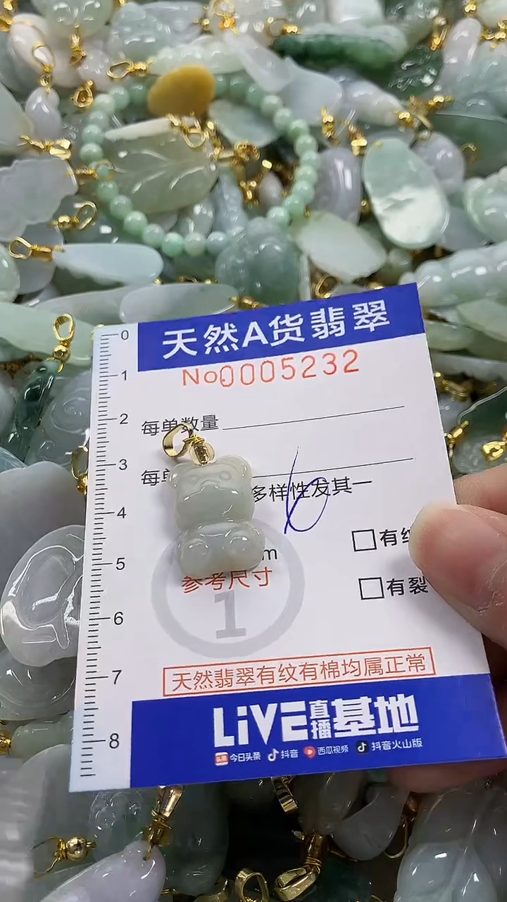颈饰未镶嵌翡翠纯天然货翡翠