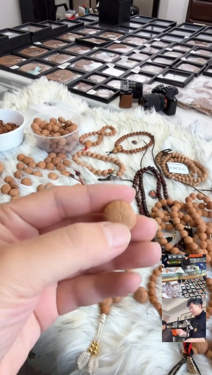 吊坠凤眼菩提4193尼泊尔19三通