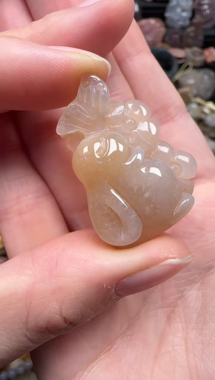 颈饰未镶嵌硅化珊瑚（珊瑚玉）637