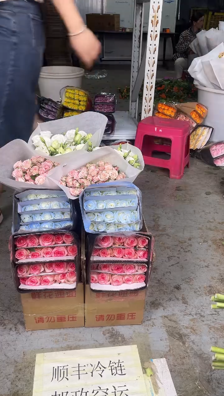 艾沙20枝+碎冰蓝20枝+折射10枝+白色洋桔梗400克