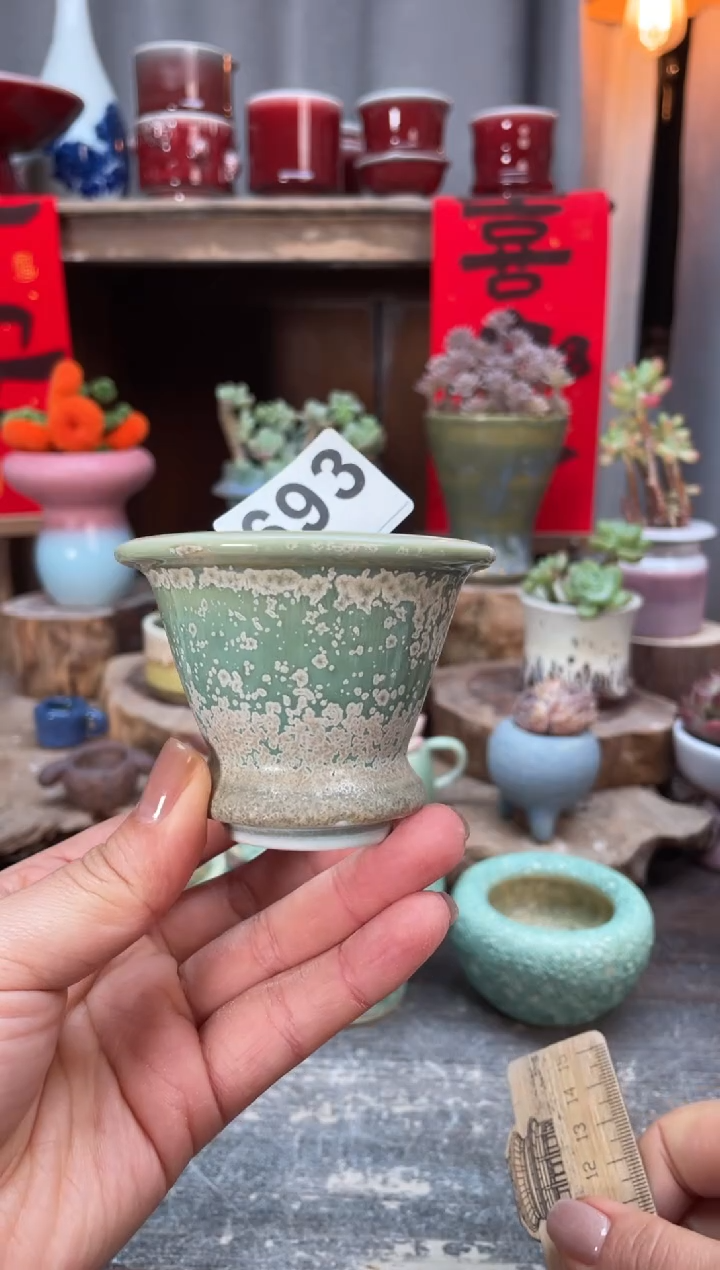 【闪购商品】摆件693知木小芳花盆