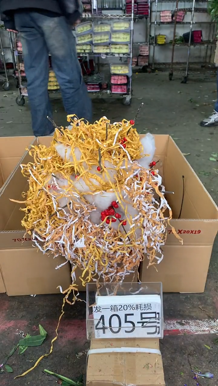 405号♥中通含20%耗损发一箱冬青