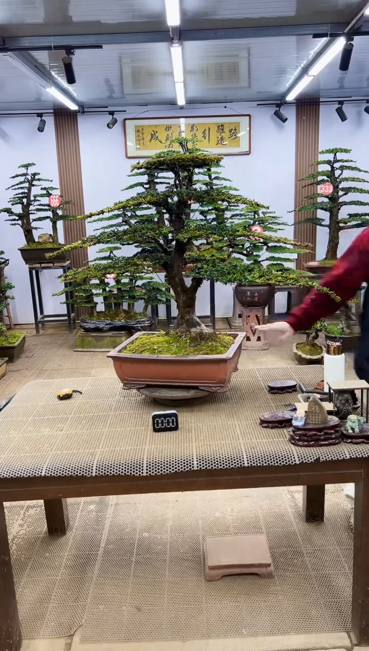 【闪购商品】00000000