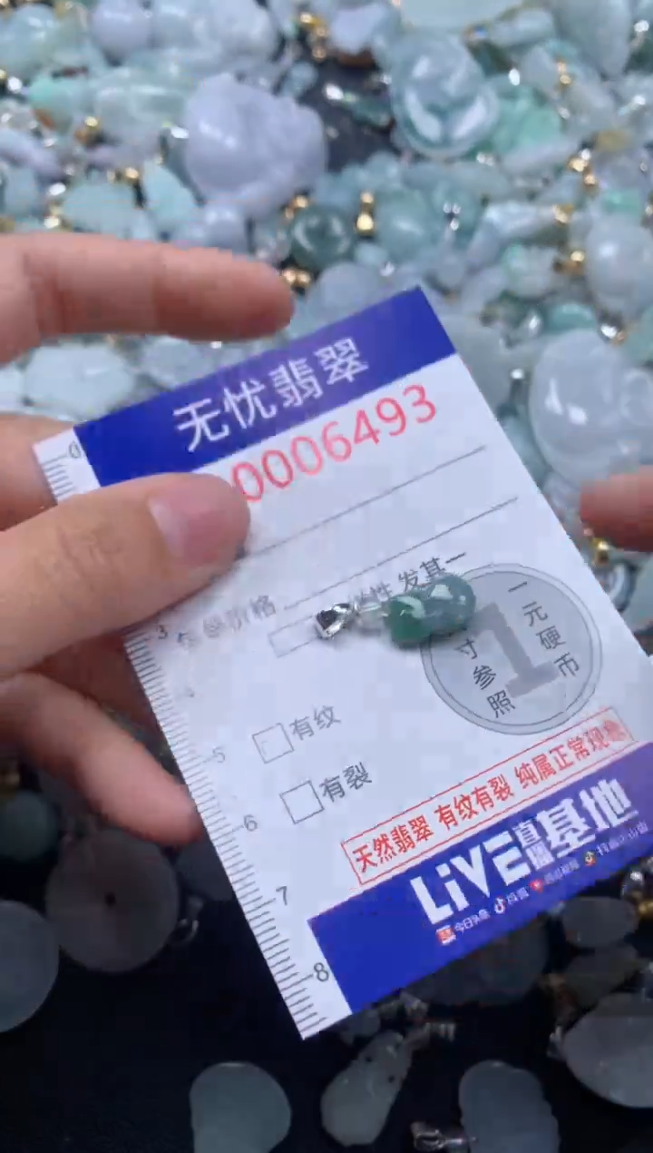 颈饰未镶嵌翡翠6493