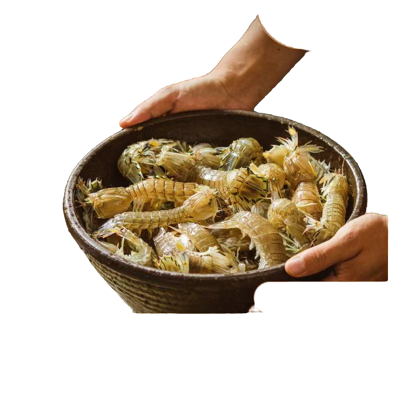 公母随机虾爬2斤起【仅限沈阳市内】上汽3分钟【保鲜不保活】