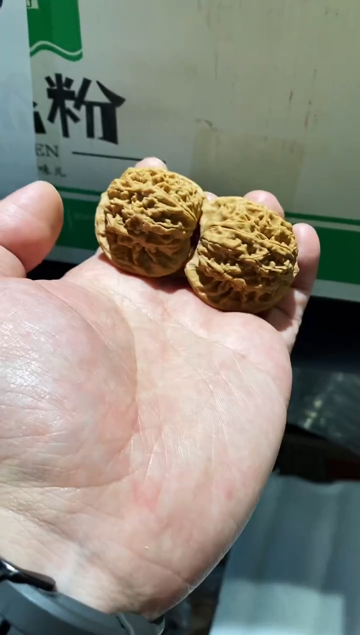 把件核桃盘龙纹小众品种红油皮质#390088