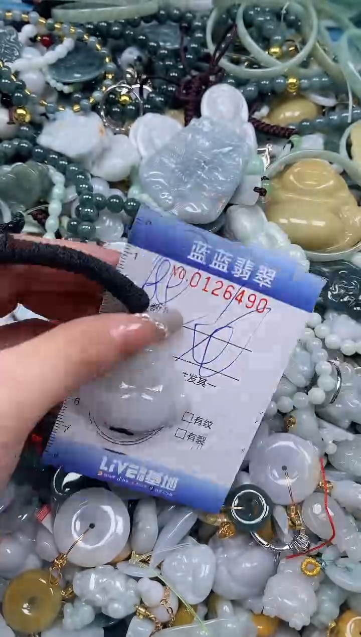 【闪购商品】翡翠颈饰未镶嵌闪购0126490多样性发其一