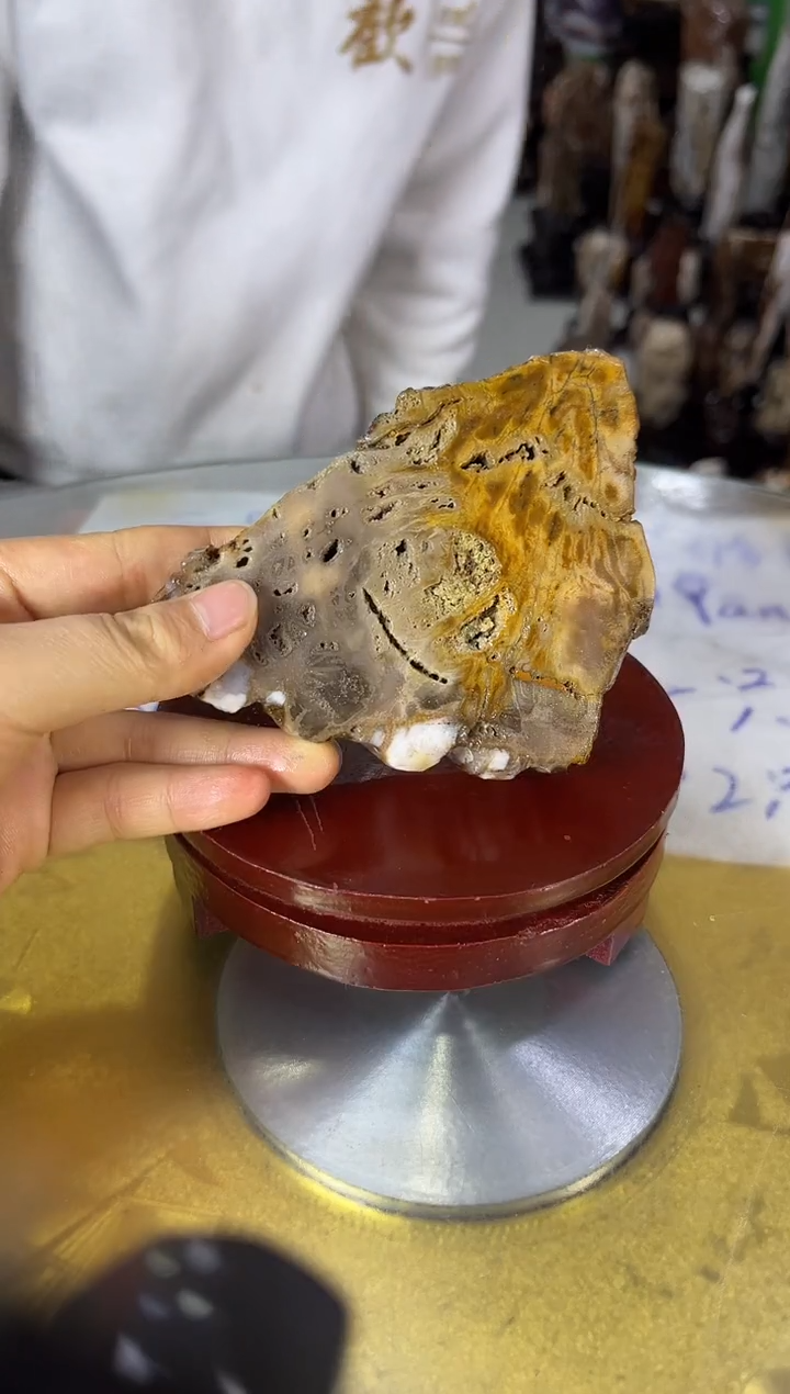未镶嵌珠宝奇石硅化玉缅甸天然树化玉精品居家摆件