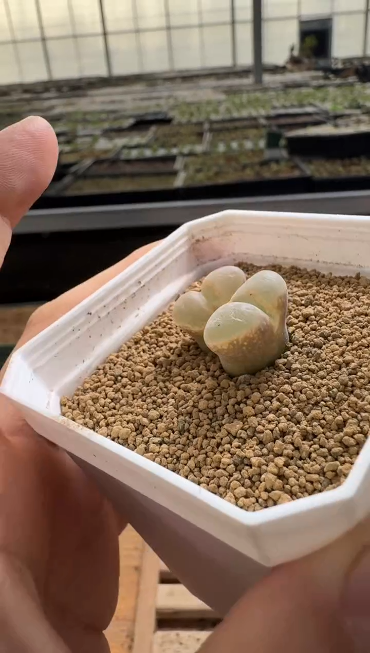 【闪购商品】1/22-193