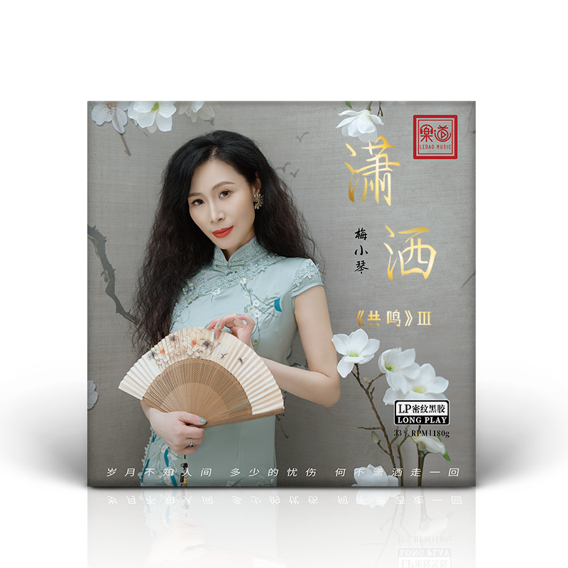 梅小琴《潇洒》发烧专辑