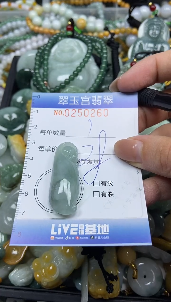 颈饰未镶嵌翡翠闪购C0250260