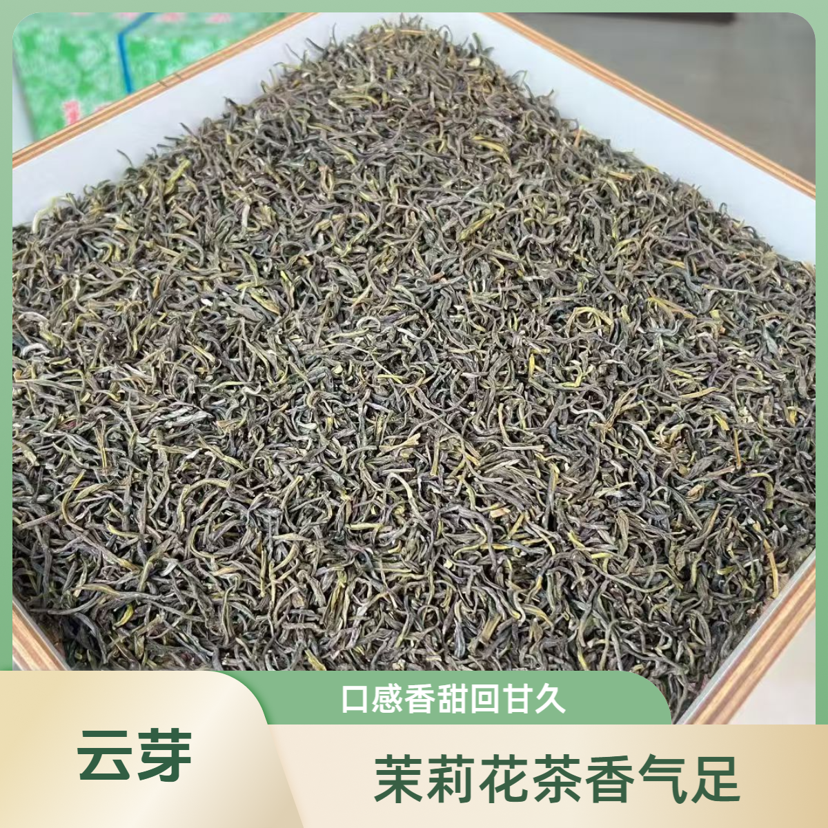 茉莉花茶 云芽福利口粮茶 香气足  口感香甜 回甘持久