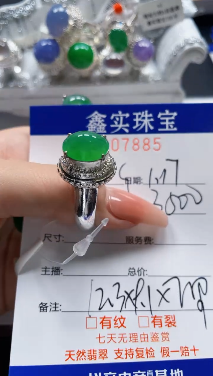 【闪购商品】翡翠颈饰未镶嵌/78850000