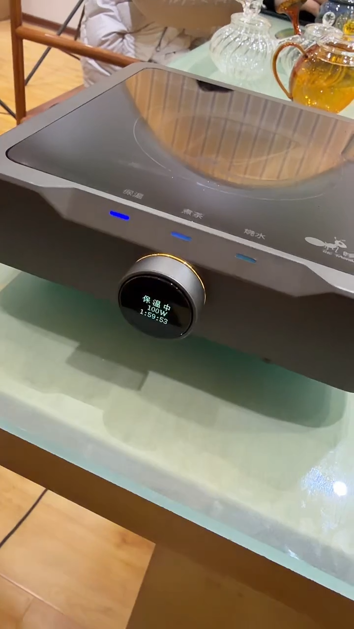 蚂蚁电陶炉灰              