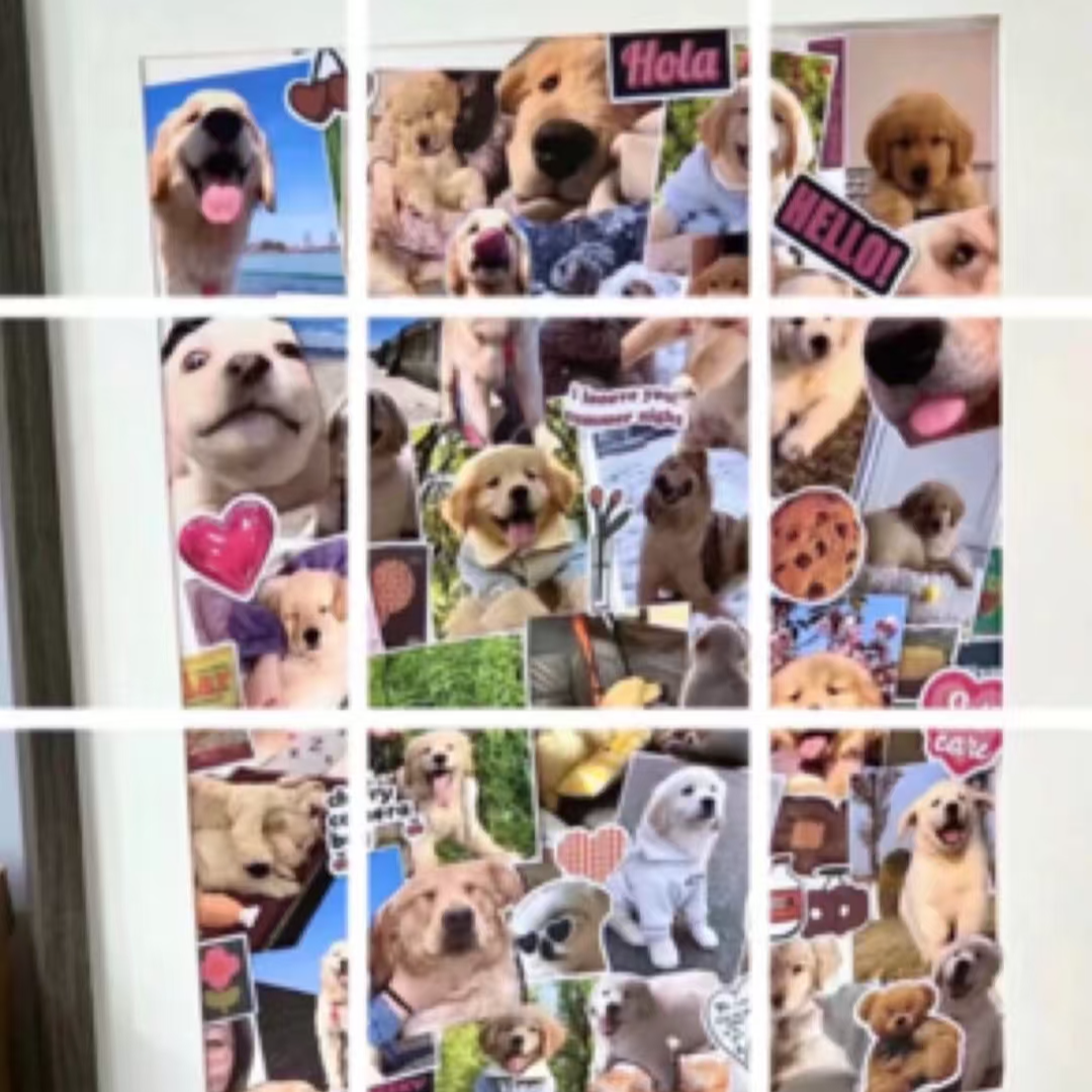 小文相册[拍前看主页视频]