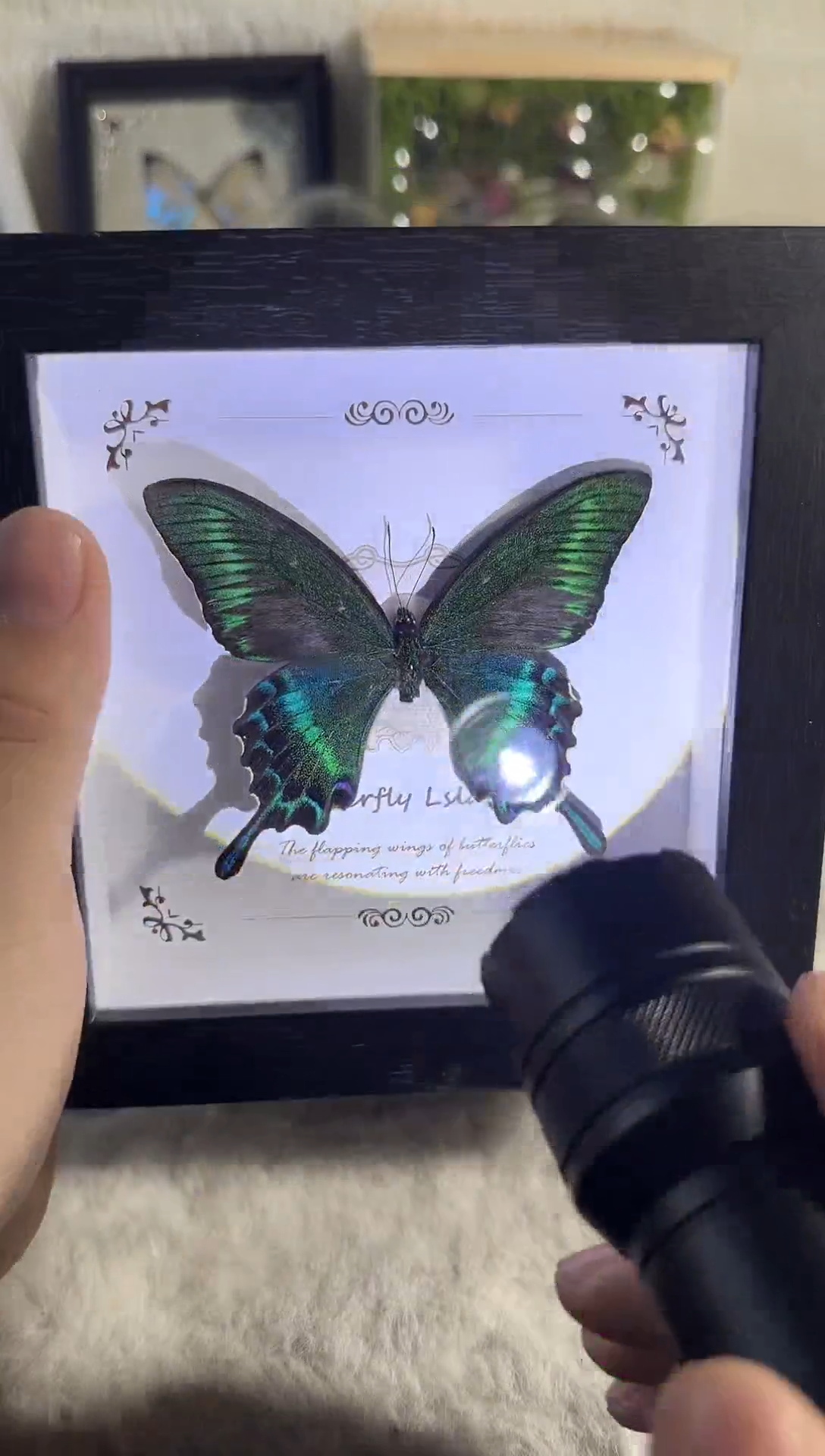 有机玻璃大绿带     