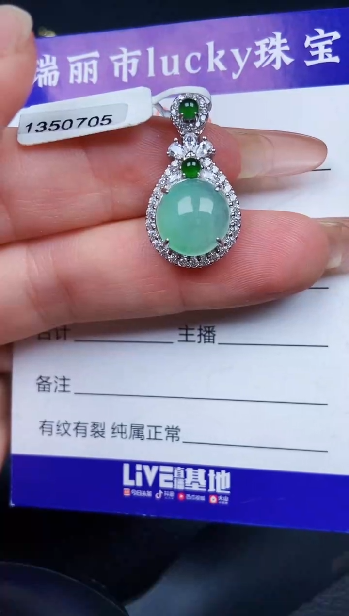 翡翠银S925镶嵌颈饰0216