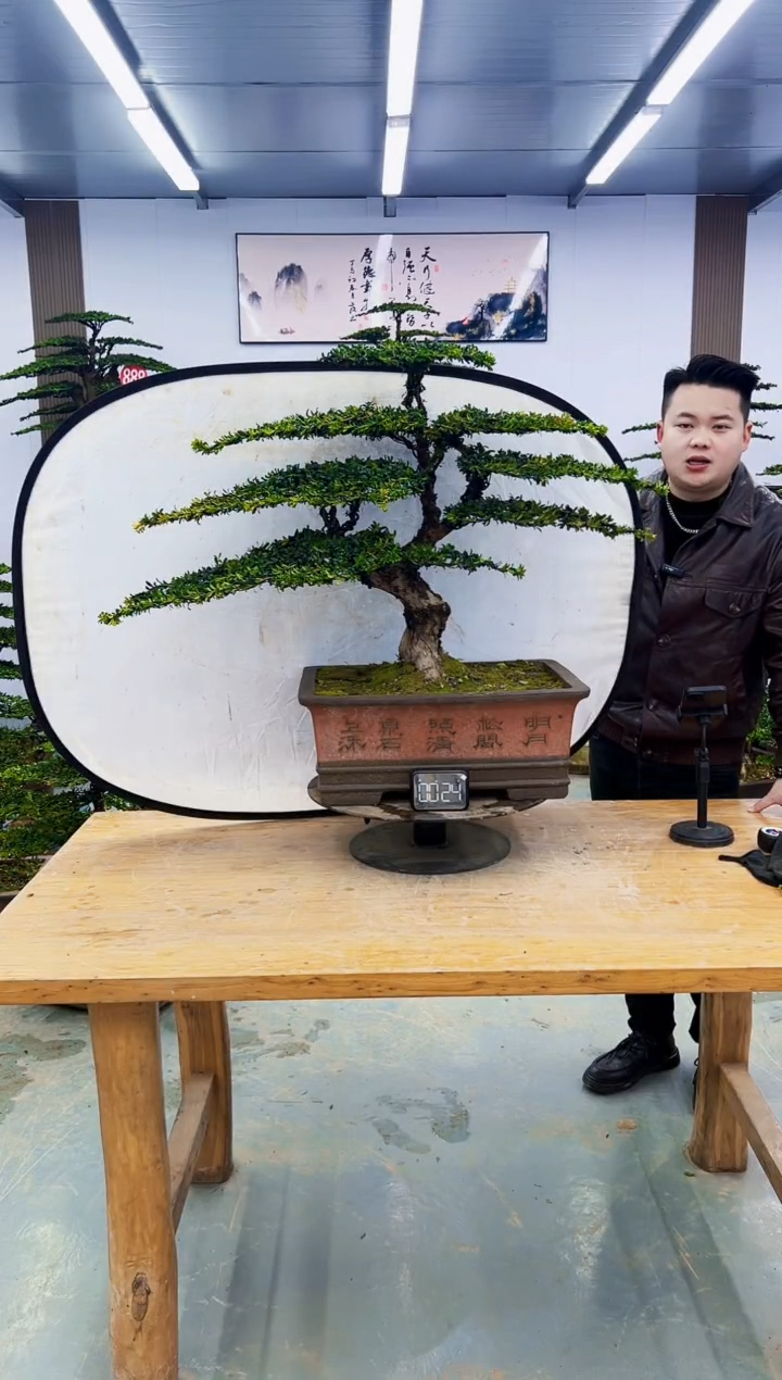 无花朵000000000000