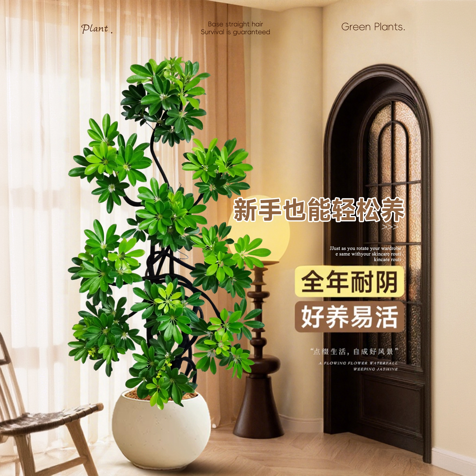 鸭脚木客厅大盆栽高级感绿植室内旺宅大型植物落地四季好养鸭掌木