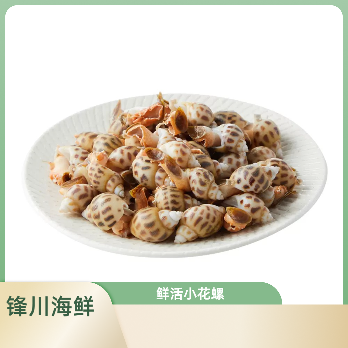 鲜活【小花螺海鲜】白灼盐焗小花螺散称半斤/1斤花螺同城送