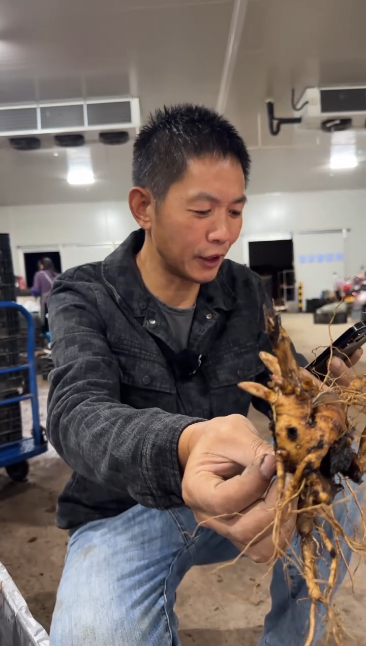 凯*69.9   凯宸  奥迪