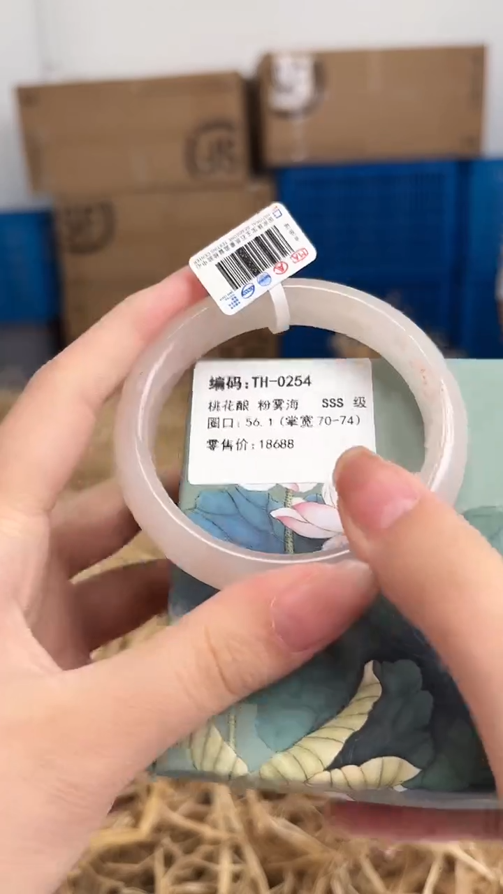 未镶嵌手镯石英质玉TH0254