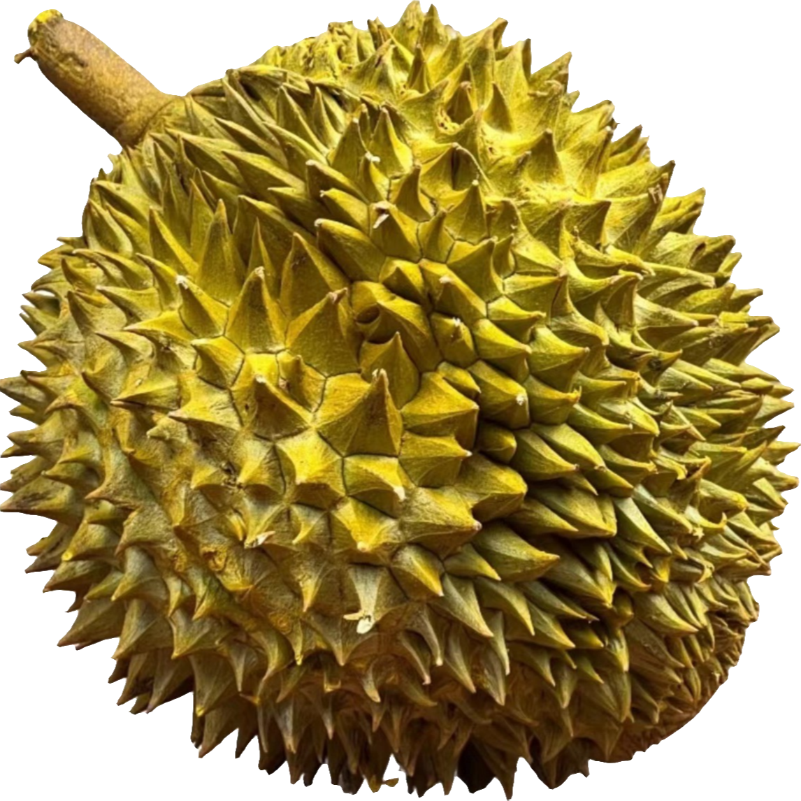 泰国树熟整果，金枕鲜榴莲一物一拍kg根据实际所得【核小默认开果，】金枕泰国东部