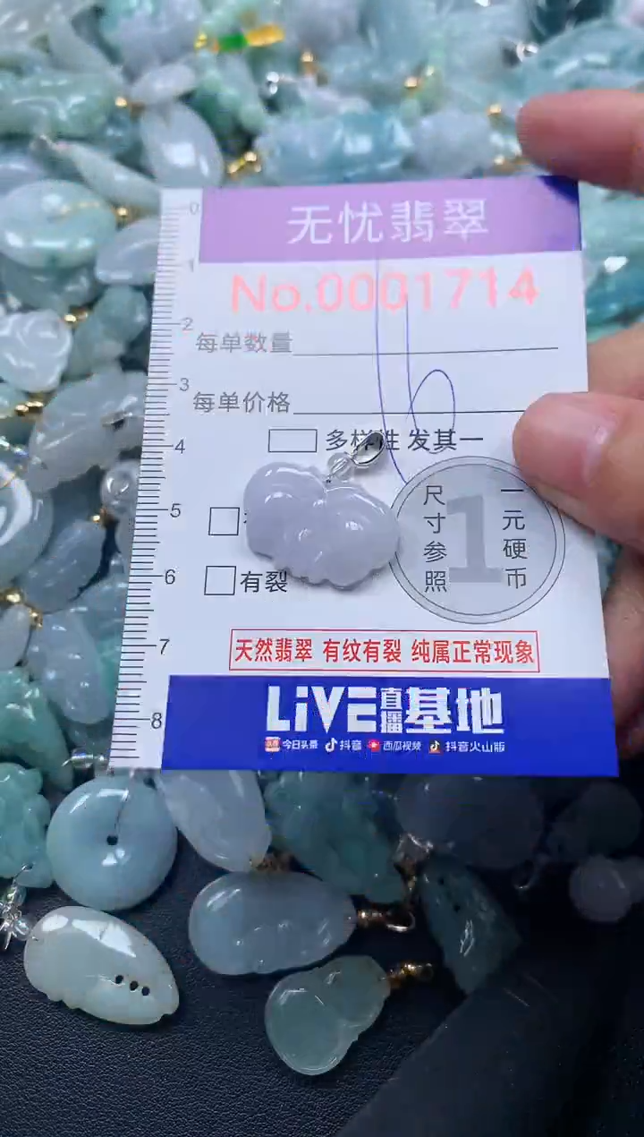 颈饰未镶嵌翡翠1714