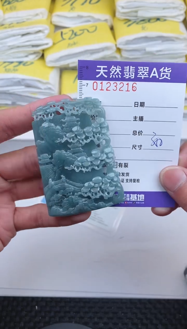 【闪购商品】翡翠颈饰未镶嵌3216.........