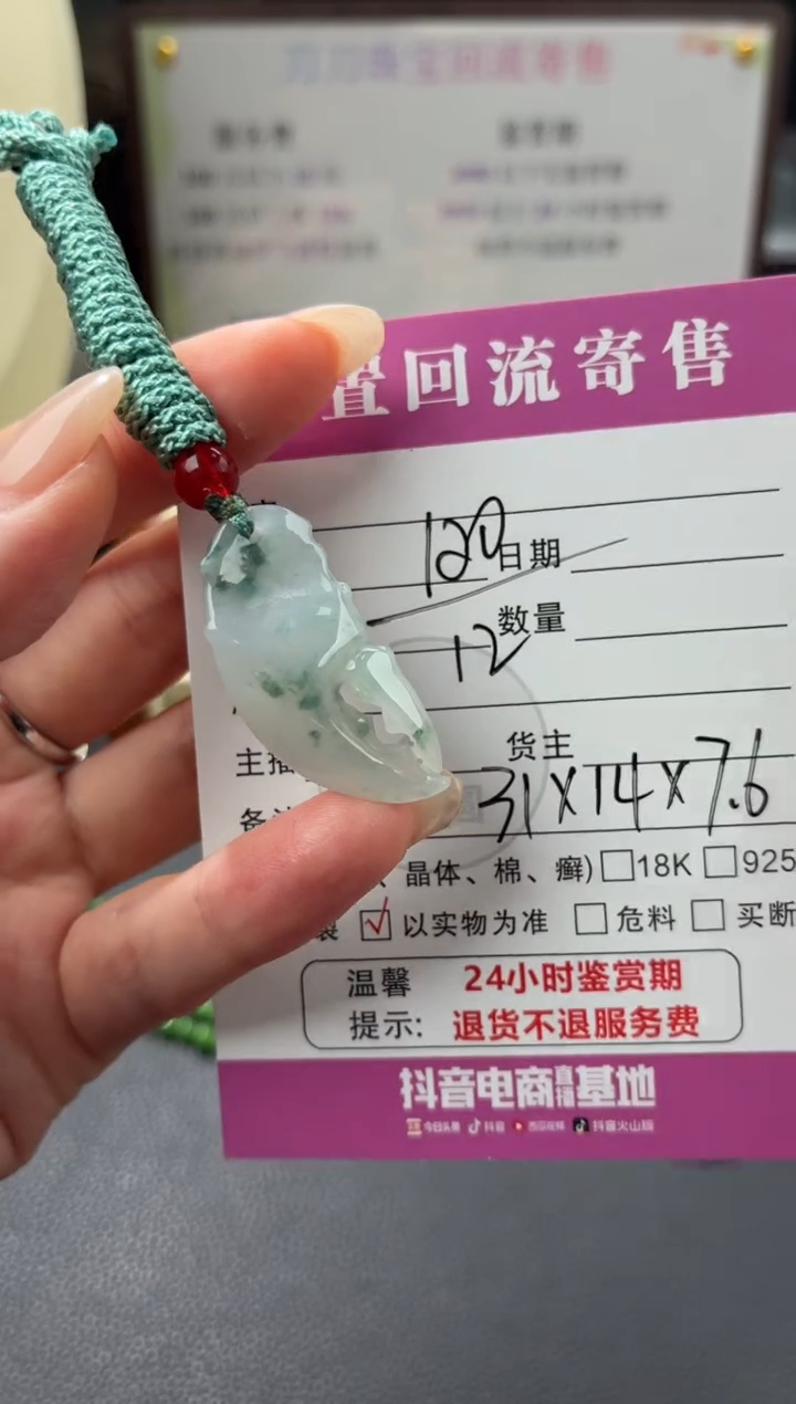 颈饰未镶嵌翡翠00003160