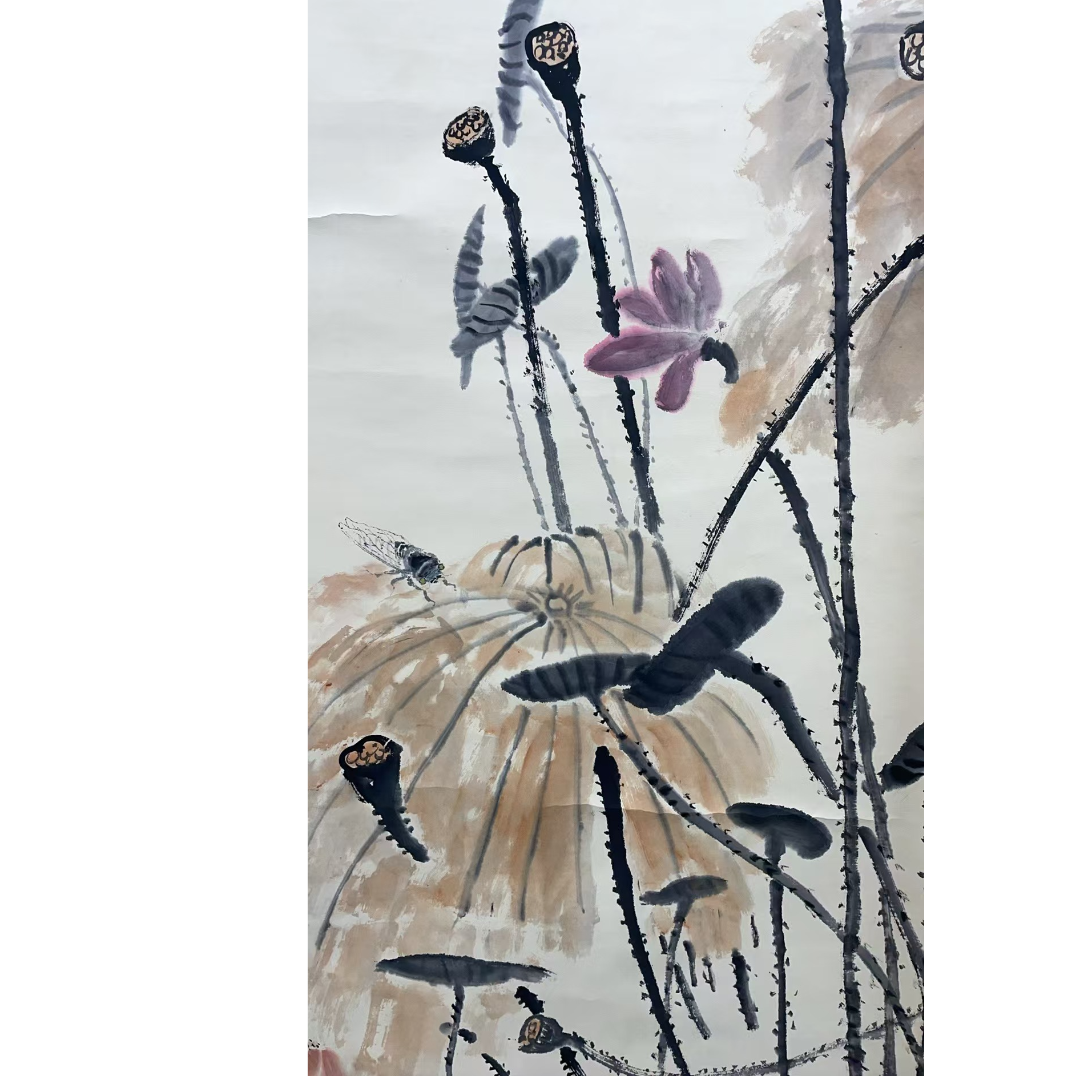 唐云 款 绘画花卉立轴138*68平尺8.2