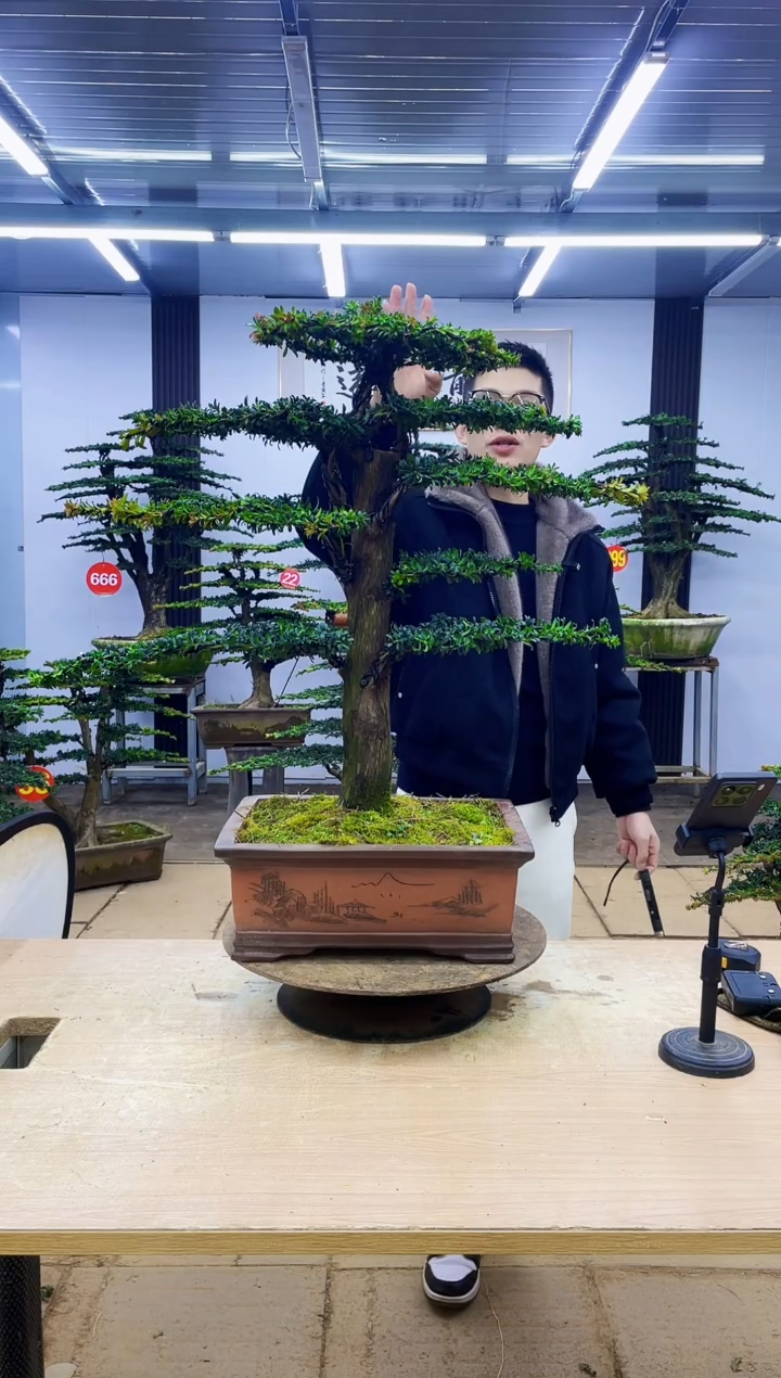 无花朵淡**度000000000000