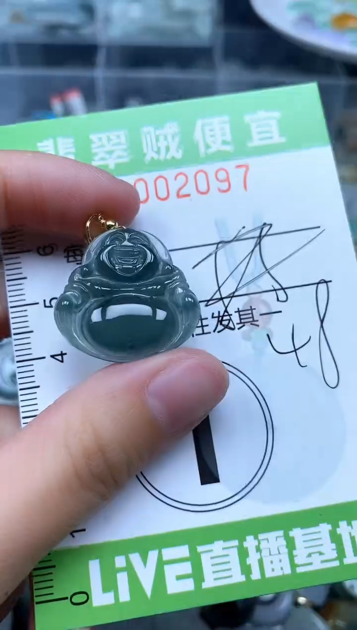 翡翠未镶嵌颈饰Z闪购0002097