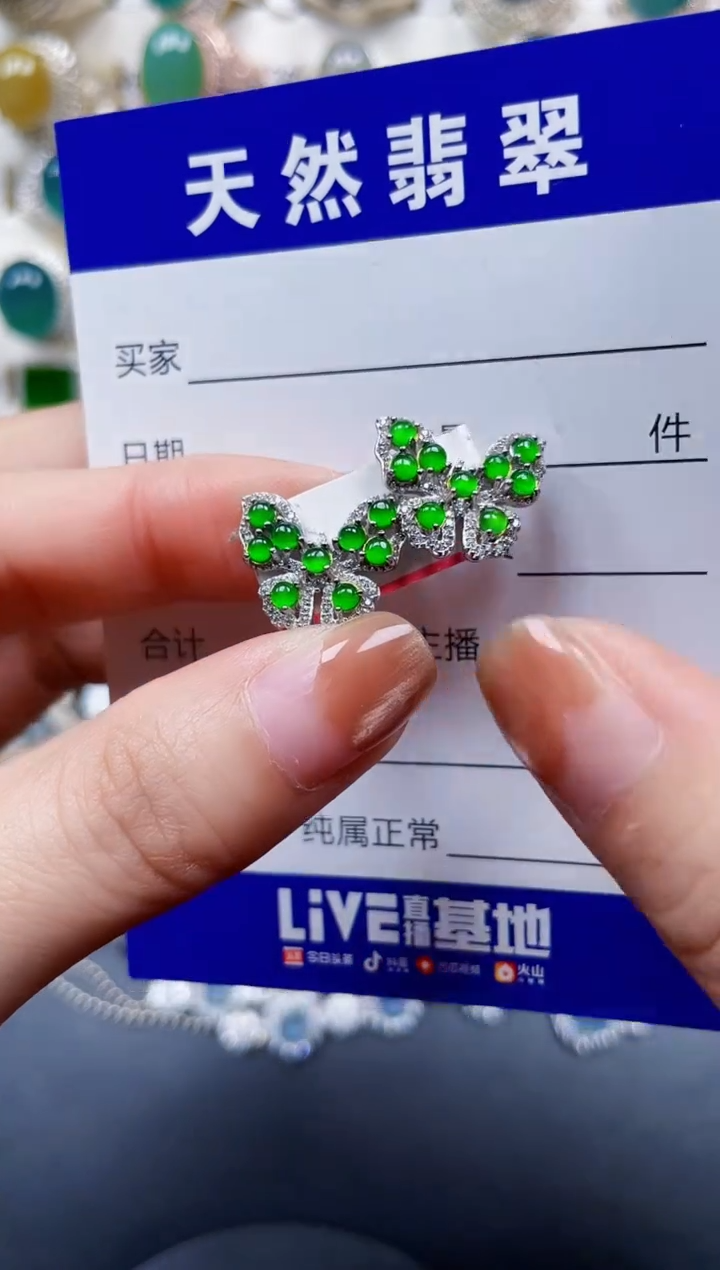 银S925镶嵌翡翠耳饰185