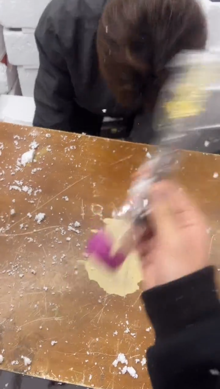 【闪购商品】其他其他其他其他其他