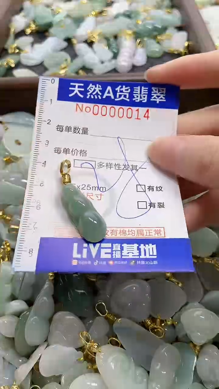 颈饰未镶嵌翡翠天然A货翡翠