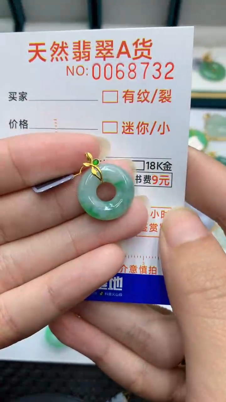 【闪购商品】翡翠颈饰18K金镶嵌            8